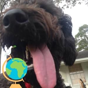 Meet your Posher, Brenda